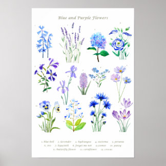 waterverf van blauwe en paarse collecties poster