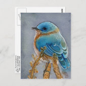 Waterverf van blauwvogel briefkaart (Voorkant / Achterkant)