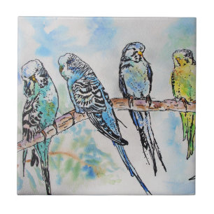 Waterverf van boedgie Vogelvogels vogelschilderij Tegeltje