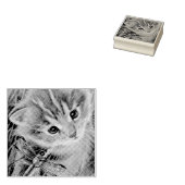 Waterverf van bruin Tabby Kitten en Dragonfly Rubberstempel (Gestempeld)
