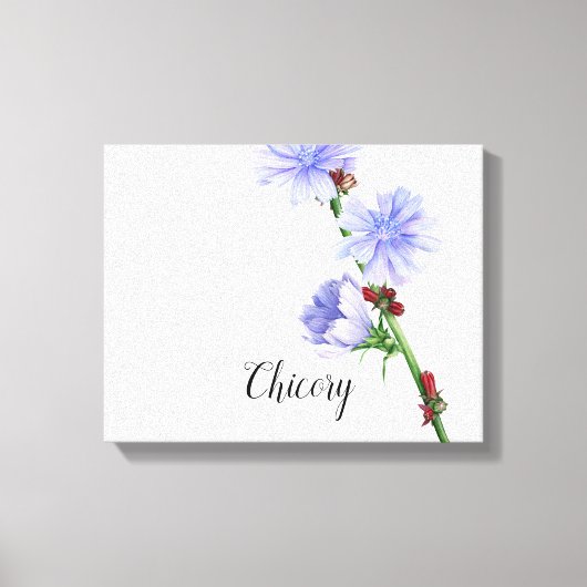 Waterverf van Chicory Flowers Canvas afdrukken (Voorkant)