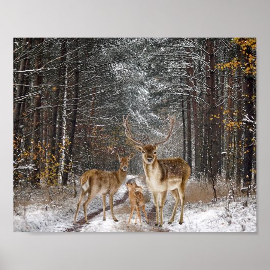 Waterverf van de Deer-reeks - loskoppeling afdrukk Poster (Voorkant)