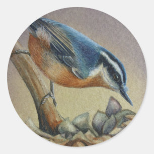 Waterverf van dopvruchten en zonnebloempitten ronde sticker