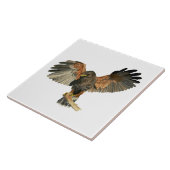 Waterverf van Hawk Flapping Wings Tegeltje (Zijkant)