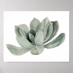 Waterverf van het Plant afzuigen Poster