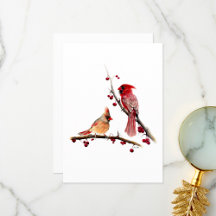 Waterverf van kardinaalgepaar