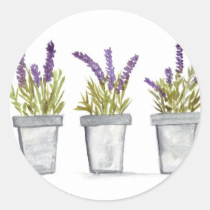 Waterverf van lavenderkruidpotten paars ronde sticker