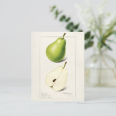 Waterverf van peren (Pyrus Communis) Briefkaart (Staand voorkant)