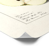 Waterverf van peren (Pyrus Communis) Poster (Hoek)