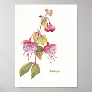 Waterverf van roze en paarse fuschia poster
