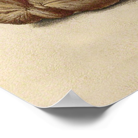 Waterverf van vlinderbloemkool en kersen poster (Hoek)