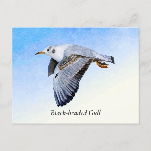 Waterverf van zeemleder briefkaart (Voorkant)