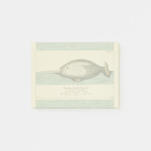 Waterverf verfschilderen van Narwhal Antiek walvis Post-it® Notes