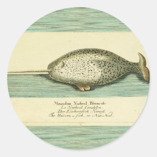 Waterverf verfschilderen van Narwhal Antiek walvis Ronde Sticker