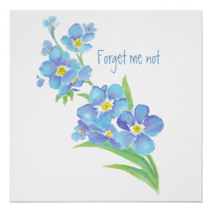 Waterverf Vergeet-me-niet bloem  blauwe bloem Perfect Poster