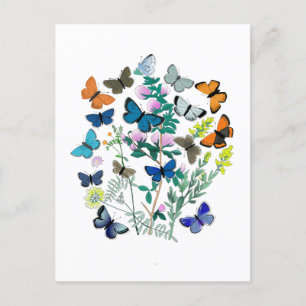 Waterverf Vlinders Bloemen Lente Zomer Briefkaart
