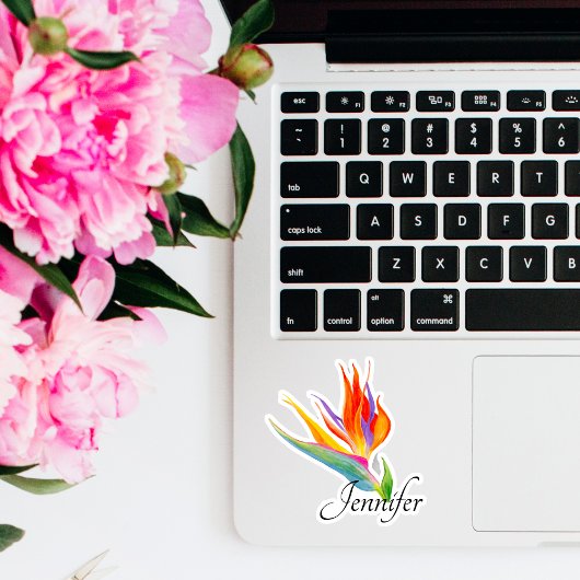 Waterverf vogel van de paradijsvogel sticker