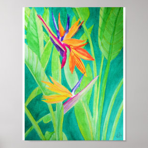 Waterverf Vogel van de Paradise Flowers Poster