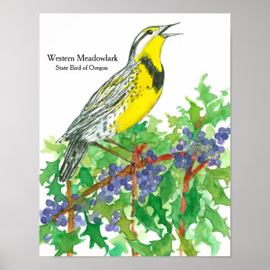 Waterverf Westerne Meadowlark Bird Poster (Voorkant)