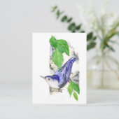 Waterverf White Breasted Nuthatch - Vogel Briefkaart (Staand voorkant)