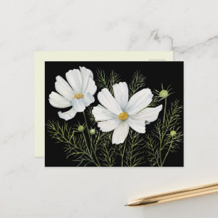 Waterverf Witte Kosmos Bloemen Botanische Schilder Briefkaart