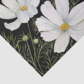 Waterverf Witte Kosmos Bloemen Botanische Schilder Tissuepapier (Detail)