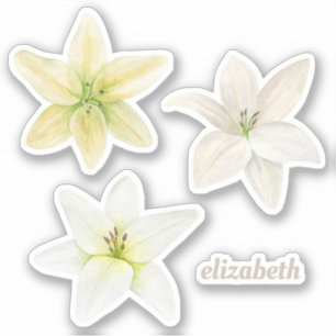 Waterverf witte lelie. Tuinbloemen. Floral Sticker