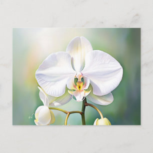 Waterverf witte orchidee met delicate bloemblaadje briefkaart