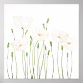 waterverf witte papaver horizontaal poster (Voorkant)