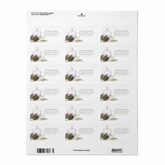 Waterverf Witte pompoen Etiket (Full Sheet)