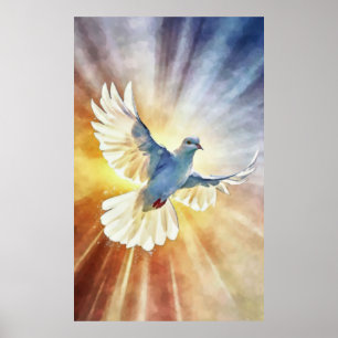 Waterverf witte vliegende duif poster