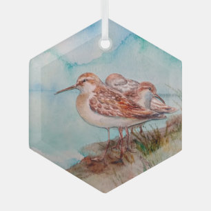Waterverf Zee Sandpiper Shore Bird Ocean Glas Ornament