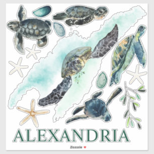 Waterverf Zee Schildpadden Kust Collectie Naam Sticker