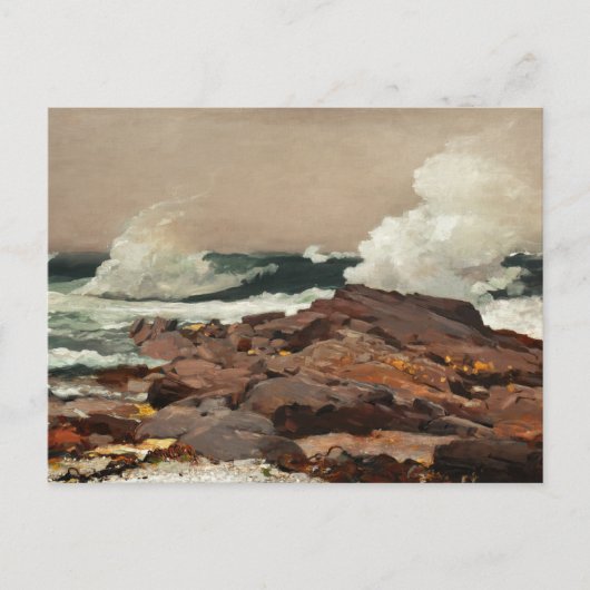  Waterverf Zeesoorten Wilde Zeeen Briefkaart (Voorkant)