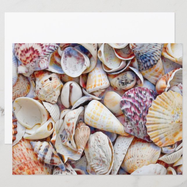 Waterverf zeezeilschelpen zeestrand (Voorkant / Achterkant)