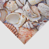 Waterverf zeezeilschelpen zeestrand tissuepapier (Detail)