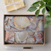 Waterverf zeezeilschelpen zeestrand tissuepapier (Geschenk)