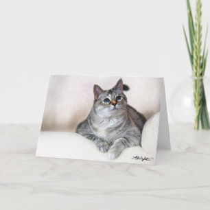 Waterverf Zilla Kaart