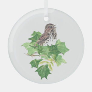 Waterverf zingt de Natuur van de Sparrow Bird Glas Ornament