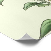 Waterverf Zonnebloem Poster (Hoek)