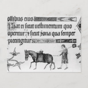 Waterverkoper, afbeelding van 'Luttrell Psalter' Briefkaart