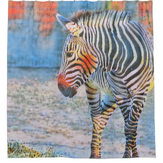 WATERVERVEN - ZEBRA DOUCHEGORDIJN