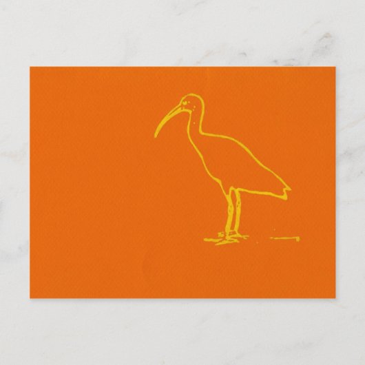Watervogel Briefkaart (Voorkant)