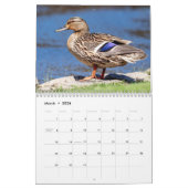 Watervogels 2026 kalender (Mar 2026)