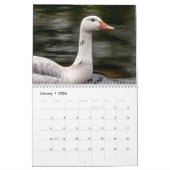 Watervogels 2026 kalender (Jan 2026)