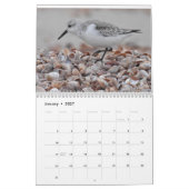 Watervogels 2 kalender (Jan 2027)