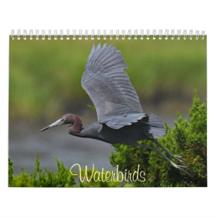 Watervogels 4 kalender
