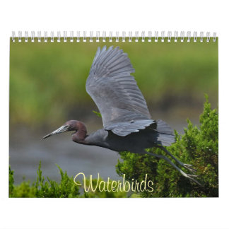Watervogels 4 kalender