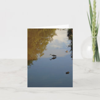 Watervogels in het Poolse park Glasgow Kaart