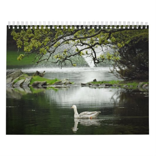 Watervogels Kalender (Hoes)